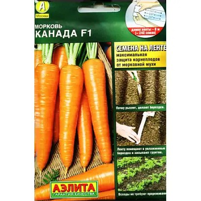 Sweet Candle F1 / Світ Кендел F1