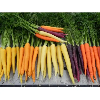 TOPCUT / ТОПКАТ