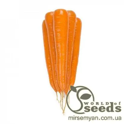 Trafford F1 / Траффорд F1