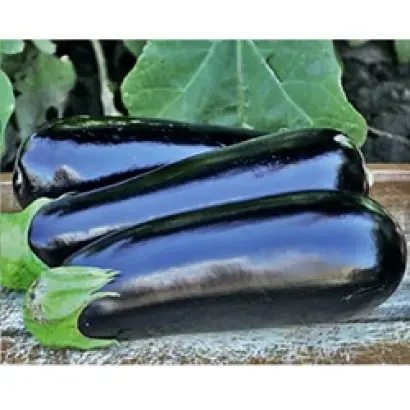 Anatolia / Анатолія