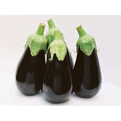 Black Pearl / Блек Перл