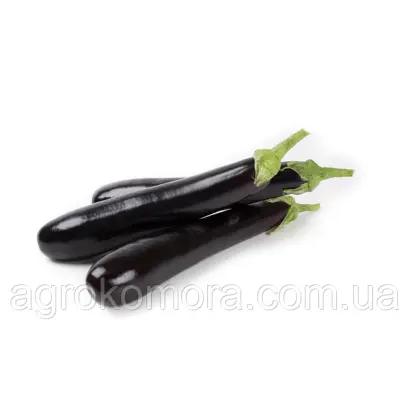 Brigitte / Бріджит