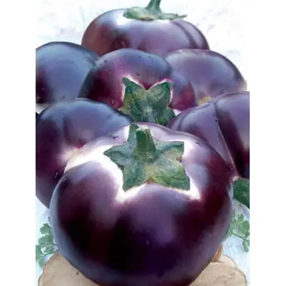 Helios / Геліос