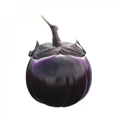 Sabelle / Сабелле