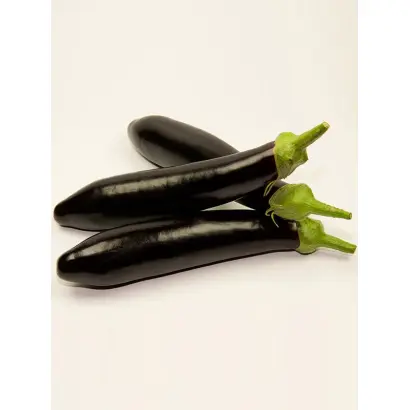 Samurai / Самурай