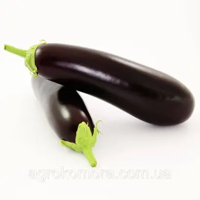 Chester / Честер