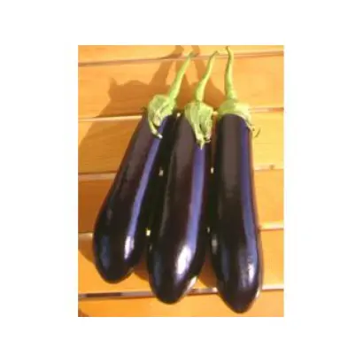 Arrow F1 BS / Єрроу F1