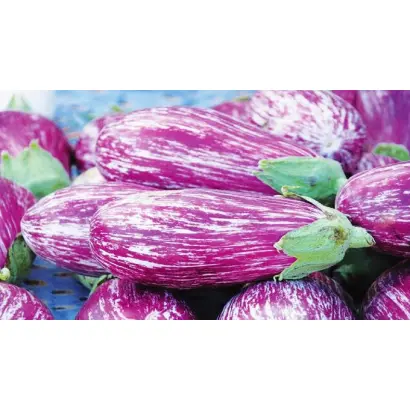 Ліловий ранок