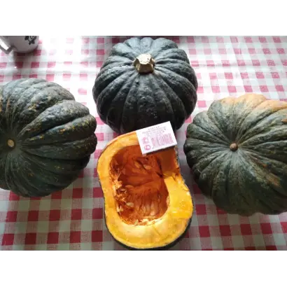 Cobalt / Кобальт