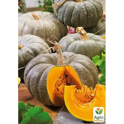 Сірий Чемпіон