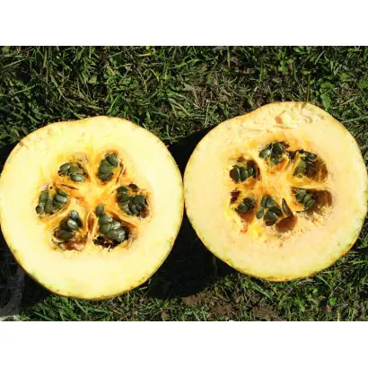 GL Rustikal / ГЛ Рустікал