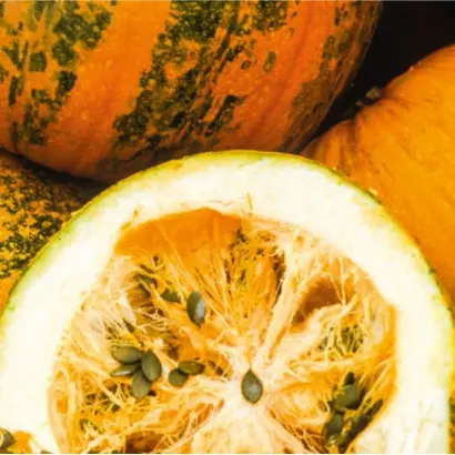 Gleisdorfer Olkurbis / Гляйсдорфер Олкюрбіс