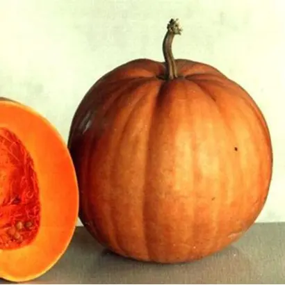 Гилэя / Гілея