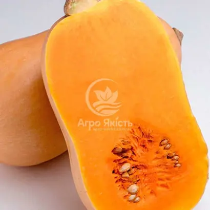 Jacqueline / Жаклін