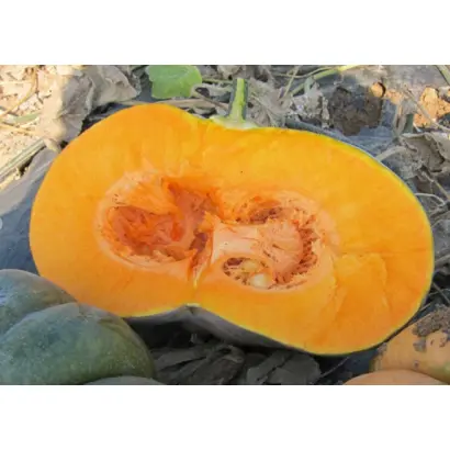 Manosk / Маноск