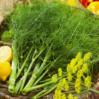 Atlant / Атлант