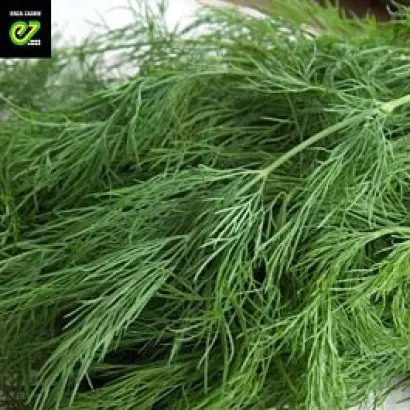 Green Sleeves / Грін Слівс