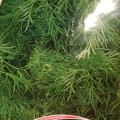 Делікатесний