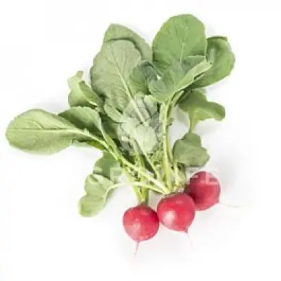 Belsay / Белсей