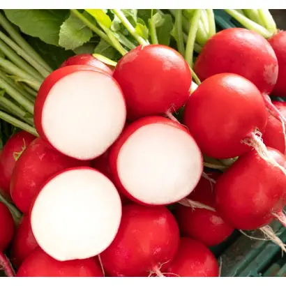 Bodiam / Бодіам