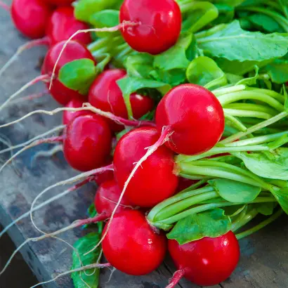 Vienna / Віенна