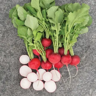 Roxanne / Роксан