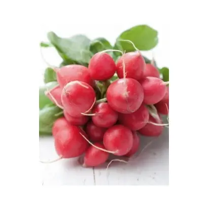 Rondeel / Ронділ