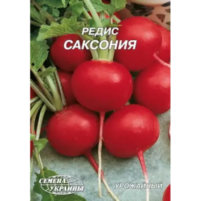 Saxoniya / Саксонія