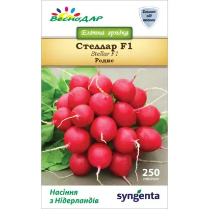 STELLAR / СТЕЛЛАР