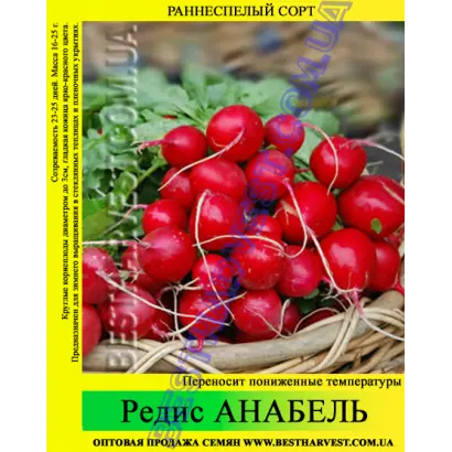 Аnnabel / Аннабель