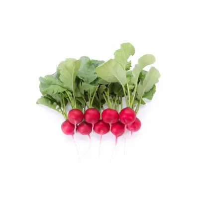 Mondial RZ F1 / Мондіал РЗ F1