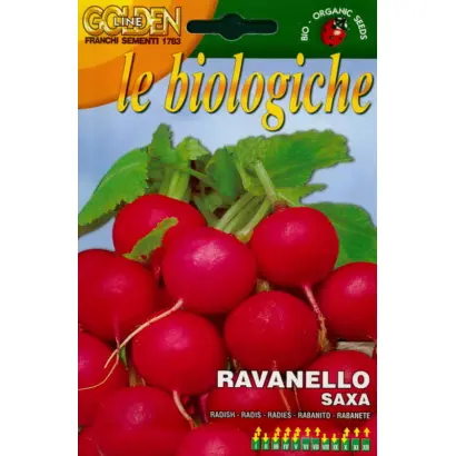 Saxa Nova / Сакса 2 Нова