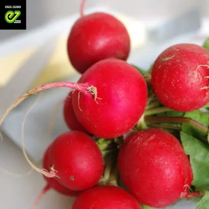 Helena / Хелена