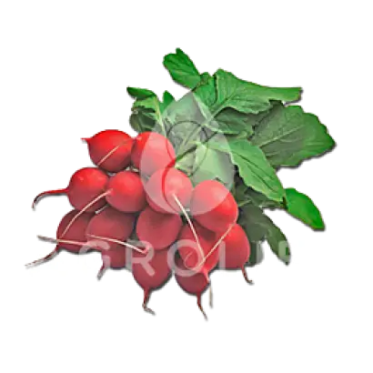 Helro / Хельро