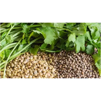 Кировоградский / Кіровоградський