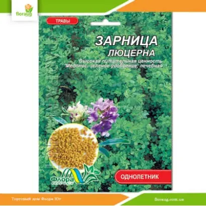 Зарница / Зарниця