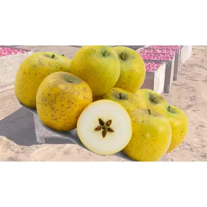 Ренет Кузнецова