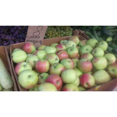 Слава переможцам / Слава переможцям