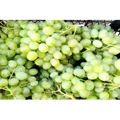 Білоцерківський