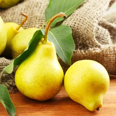 Лимонка осенняя / Лимонка осіння