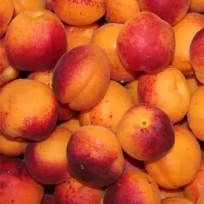 Колхозный / Колгоспний