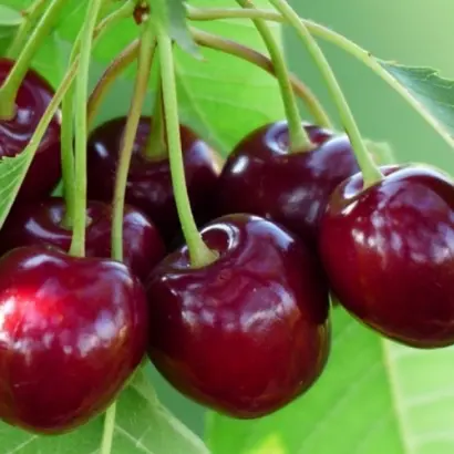 Ожидание / Ожиданіє