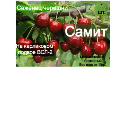 VSL 2.3 / ВСЛ 2.3