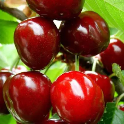 Космическая / Космічна