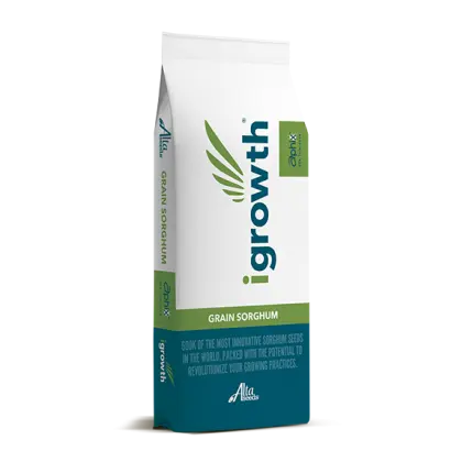 ADVG 2168 IG / АДВГ 2168 ІГ