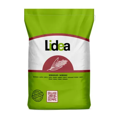 ES Alize / ЕС Алізе