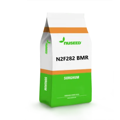 N2F282 BMR / Н2Ф282 БМР