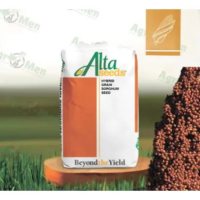 Sentinel IG / Сентінел ІГ