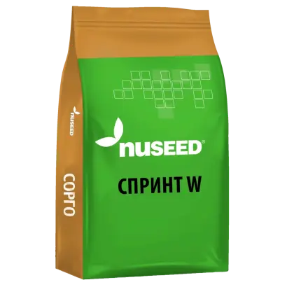 Sprint II / Спринт 2