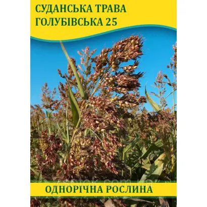 Голубівська 25